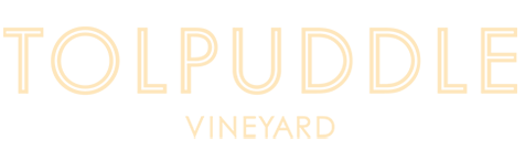 Tolpuddle Vineyard